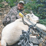 mountain goat kill